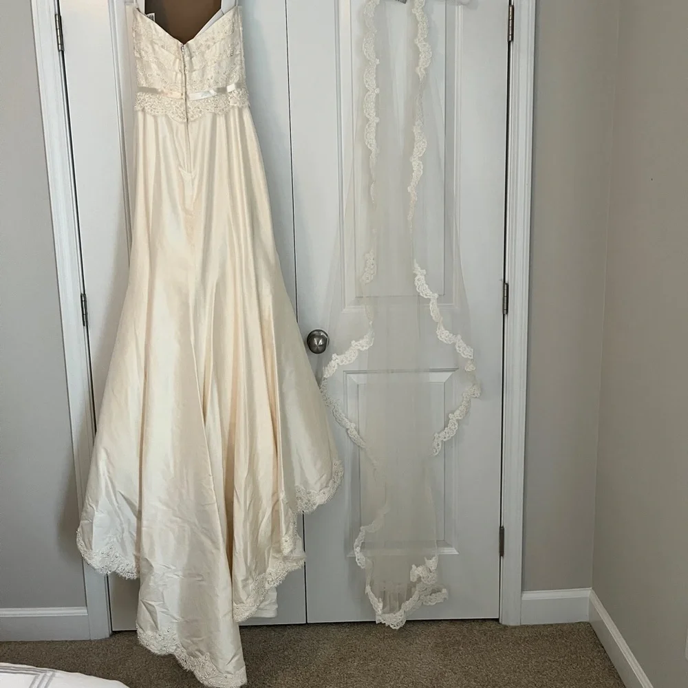 NEW/ NEVER WORN: Paloma Blanca Wedding Dress: style #CA05313 - Picture 8 of 15